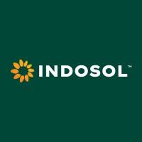 Solar Surge: Indosol Aims for 10 GW by 2026 with Accelerated Expansion.