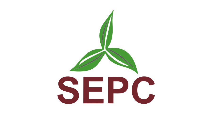 SEPC Secures ₹314 Crore Order from Telecommunications Consultants India.